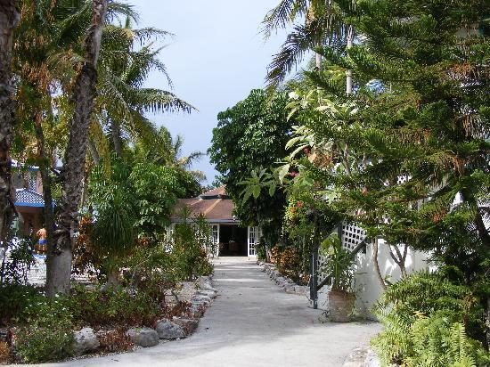 Turtle Cove Inn 외부 사진